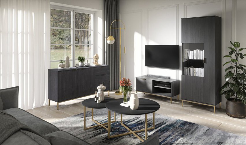 Lartti TV cabinet 101 cm single door portland ash black