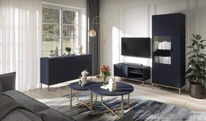 Lartti TV cabinet 101 cm single door navy blue